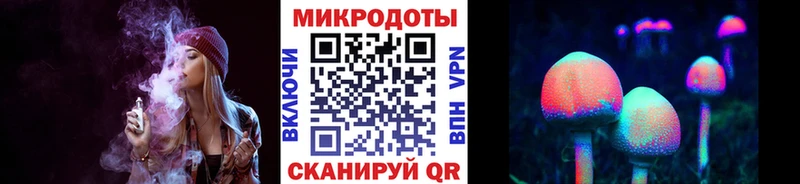 Галлюциногенные грибы Psilocybine cubensis Ядрин